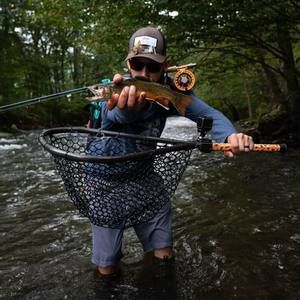 Meet your Posher, Beau